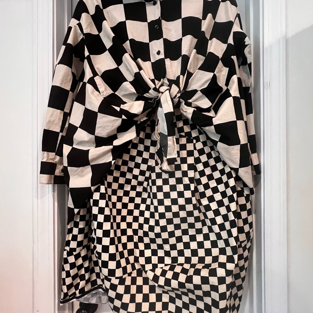 AQRL Checkered button down shirt and skirt